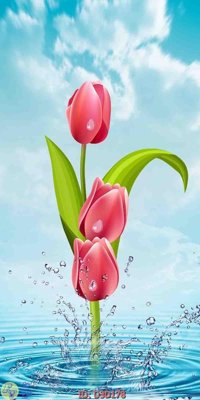 File tranh File lối vào D3D178 (gốc) chủ đề động vật