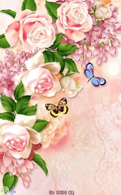 File in lụa File lối vào D3D2 (hoa văn) File lối vào D3D2