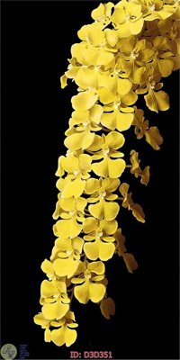 File gốc File lối vào D3D351 (phong cách) tối giản