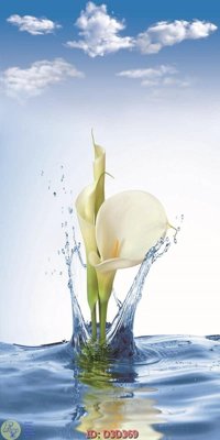 File gốc File lối vào D3D369 cho in ấn và thiết kế