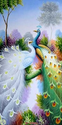 Mua file tranh gốc File lối vào D3D41 tại Filetranh.com