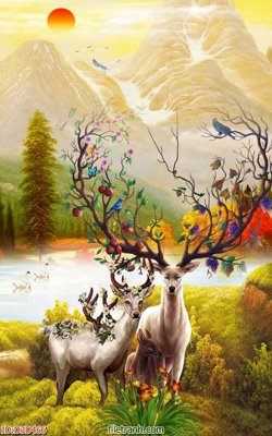 File tranh File tranh đứng lối vào D3D466 (gốc) in backlit film