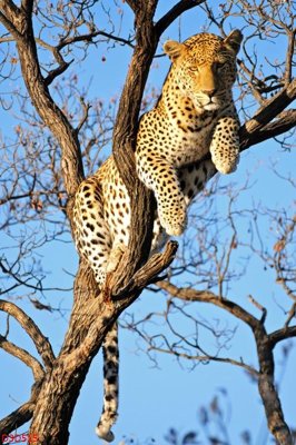 Tải file gốc File tranh đứng lối vào D3D515 (in tráng gương) 3DFile gốc File tranh đứng lối vào D3D515 (sẵn sàng in) chất lượng cao