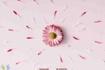 File gốc Tranh treo hiện đại DC184 (in tráng gương) nghệ thuật