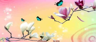 Tải về hình ảnh gốc Tranh treo hoa lan DC92 sắc nét