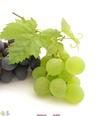 Tải file Tranh treo hiện đại DC94 (gốc) chủ đề tâm linh