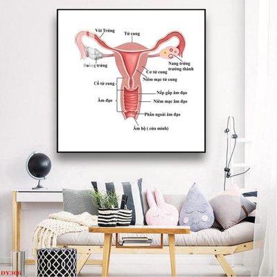 File PSD Tranh trang trí đông y spa môi mi DY306 (bản gốc) đã tách nền