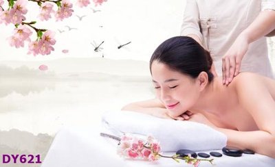 File in mica Tranh trang trí đông y dưỡng sinh spa môi mi DY621 (bản gốc) siêu trong