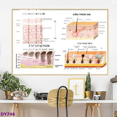 File tranh Tranh trang trí đông y dưỡng sinh spa môi mi DY746 (gốc) phong cách tối giản