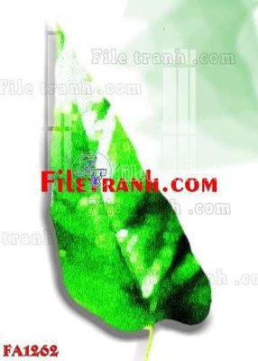 File tranh File gốc in bộ tranh decor treo tráng gương canvas FA1262 (bản gốc) in lụa 5D