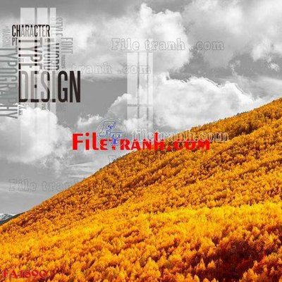 File in mica File gốc in bộ tranh decor treo tráng gương canvas FA1690 (ảnh gốc) đẹp