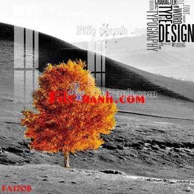 File gốc in mica File gốc in bộ tranh decor treo tráng gương canvas FA1708 chất lượng