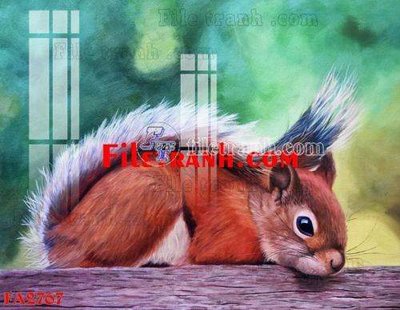 Hình ảnh gốc File gốc in bộ tranh decor treo tráng gương canvas FA2767 (để in khổ lớn)