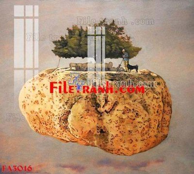 File in trần File gốc in bộ tranh decor treo tráng gương canvas FA3016 (bản gốc 3D) sống động