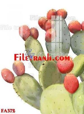 File in lụa File gốc in bộ tranh decor treo tráng gương canvas FA372 (phong cảnh) File gốc in bộ tranh decor treo tráng gương canvas FA372