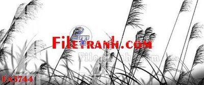 File ảnh File gốc in bộ tranh decor treo tráng gương canvas FA3744 (gốc) in poster