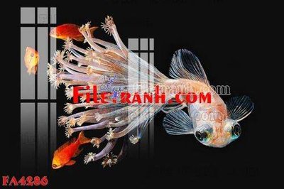 File gốc File gốc in bộ tranh decor treo tráng gương canvas FA4286 (chủ đề hiện đại) trang trí