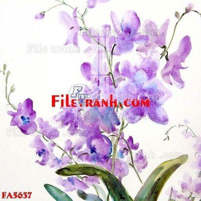 File tranh File gốc in bộ tranh decor treo tráng gương canvas FA5637 (ảnh gốc) độc quyền