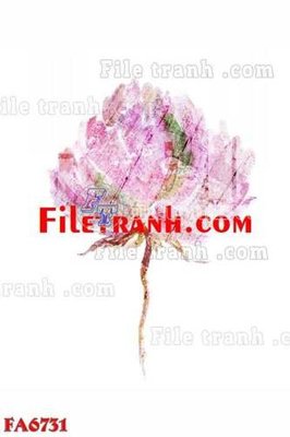 File in mica File gốc in bộ tranh decor treo tráng gương canvas FA6731 (bản gốc) sắc sảo