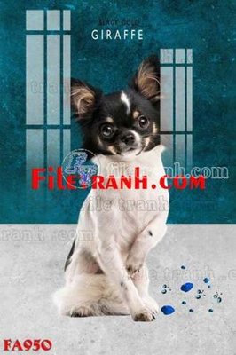 File in ấn chuyên nghiệp File gốc in bộ tranh decor treo tráng gương canvas FA950 (file gốc)