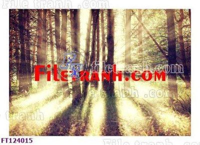 File gốc File tranh bộ hiện đại FT124015 (chủ đề hiện đại) trang trí