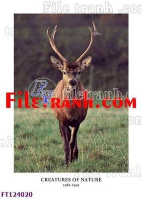 File gốc File tranh bộ hiện đại FT124020 (thiết kế) cho in ấn