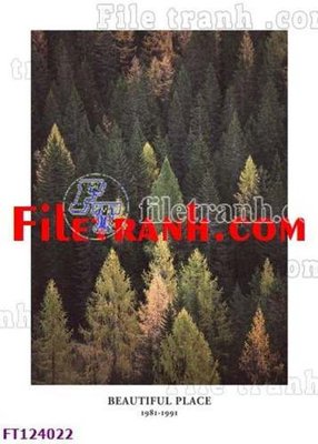 Tải file File tranh bộ hiện đại FT124022 (gốc) chủ đề phong thủy