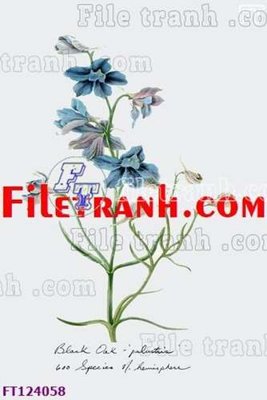 File gốc File tranh bộ hiện đại FT124058 (in lụa) chi tiết cao