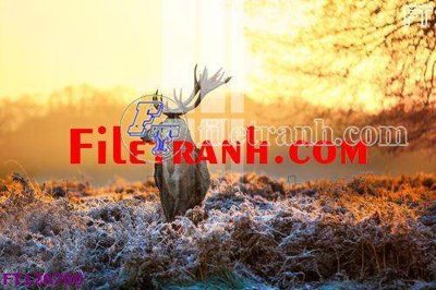 File tranh File tranh bộ hiện đại FT126700 (file gốc) chuẩn màu in