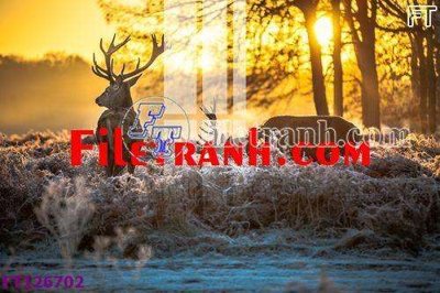 Tải file File tranh bộ hiện đại FT126702 (gốc) chủ đề tôn giáo