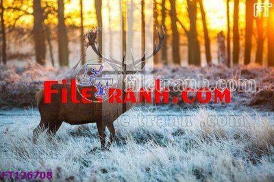 File tranh File tranh bộ hiện đại FT126708 (gốc) chủ đề con người