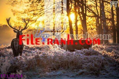 Download file gốc File tranh bộ hiện đại FT126714 (in mica) logo