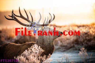 Download file tranh PSD File tranh bộ hiện đại FT126718 để chỉnh sửa