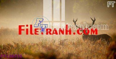 File gốc File tranh bộ hiện đại FT126731 (in tráng gương) nghệ thuật