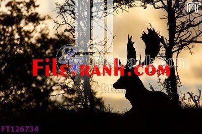 File in mica File tranh bộ hiện đại FT126734 (ảnh gốc) đẹp