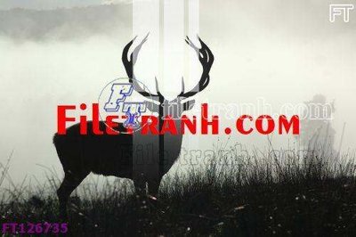 Download file File tranh bộ hiện đại FT126735 (gốc) in mica bàn thờ