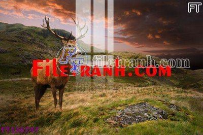 File ảnh File tranh bộ hiện đại FT126747 (gốc) in biển hiệu