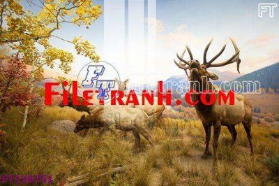 Tải file File tranh bộ hiện đại FT126751 (ảnh gốc) in gạch men