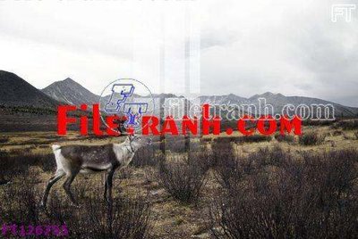 File tranh File tranh bộ hiện đại FT126755 (gốc) in backlit film