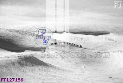 File gốc File tranh bộ hiện đại FT127159 (chuẩn màu) cho in offset