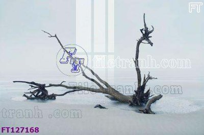 File gốc File tranh bộ hiện đại FT127168 (in 3D) nghệ thuật