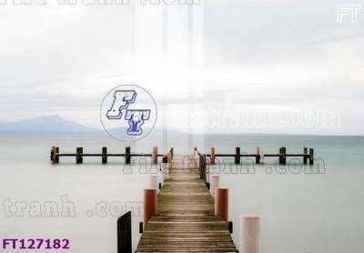 File tranh in trần File tranh bộ hiện đại FT127182 (ảnh gốc siêu nét)