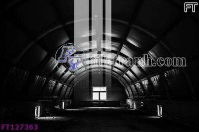 File tranh File tranh bộ hiện đại FT127363 (ảnh gốc) in trần xuyên sáng