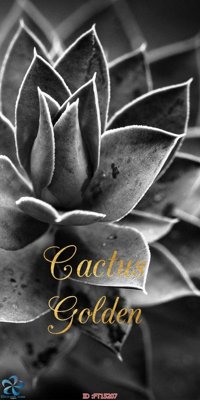 Tải file gốc Tranh trang trí lối vào FT15207 (in không vỡ ảnh)