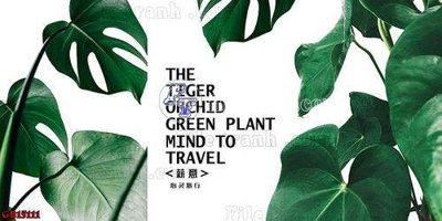 File gốc File gốc in bộ tranh decor treo tráng gương canvas GB15111 (in lụa) họa tiết 3D