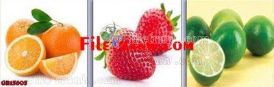 File in ấn File gốc in bộ tranh decor treo tráng gương canvas GB15605 chuyên nghiệp