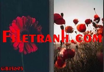 Tệp tin gốc File gốc in bộ tranh decor treo tráng gương canvas GB15693 (chất lượng) File gốc in bộ tranh decor treo tráng gương canvas GB15693