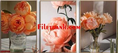 Tải file gốc File gốc in bộ tranh decor treo tráng gương canvas GB15702 (in không vỡ ảnh)