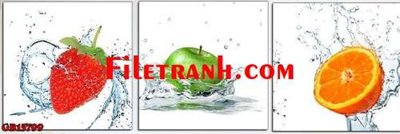 File tranh File gốc in bộ tranh decor treo tráng gương canvas GB15799 (bản gốc) trang trí văn phòng