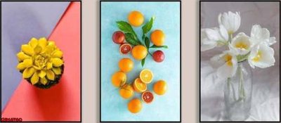 File in trần File gốc in bộ tranh decor treo tráng gương canvas GB16760 (bản gốc) hoa văn